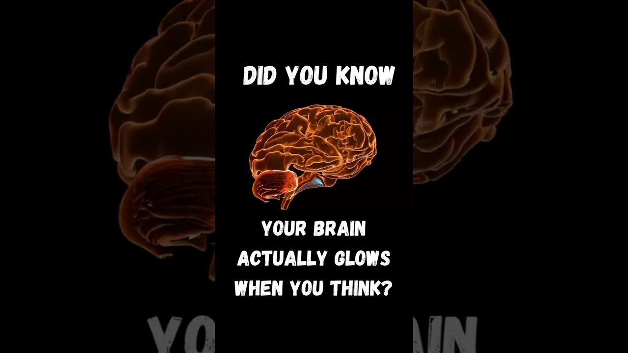 Our Brain Actually Emits Light When Used🌟🧠🧐 