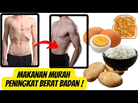 Makanan Apa Yang Bisa Gemuk