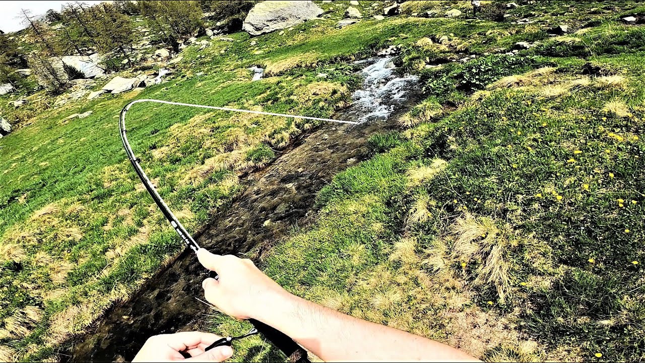 Le Sorprese della Pesca in Montagna / UL Spinning in Torrente