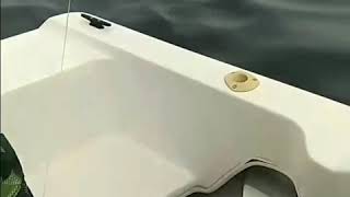 Остров Желтухина