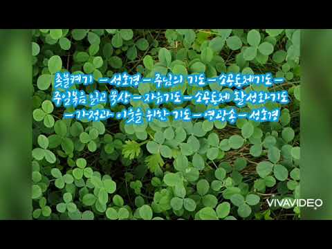 영상썸네일