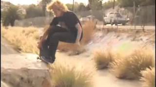Jamie Thomas, Elissa Steamer, Donovon Piscopo & Tommy Sandoval Strange World