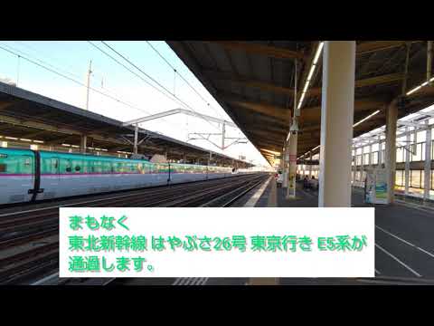 東北新幹線 はやぶさ26号 東京行き E5系 2021.11.23