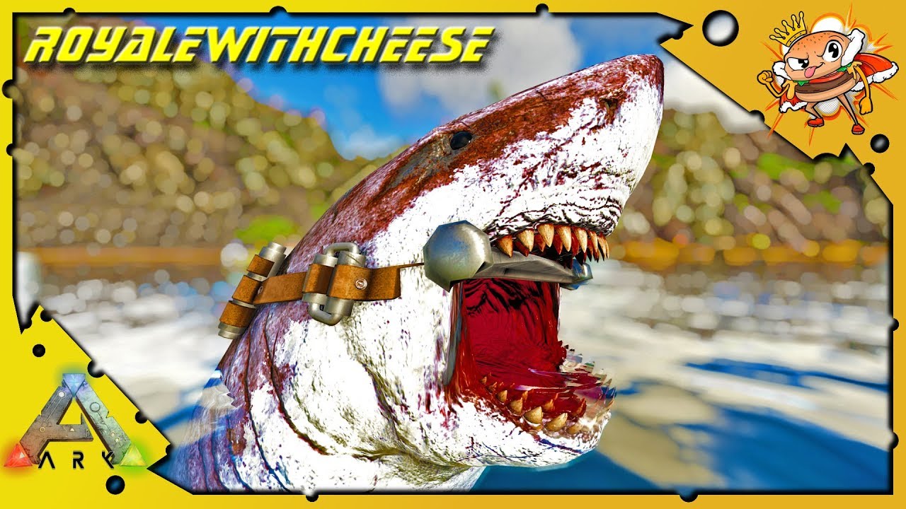 Megalodon Taming! Dolphin Fails And Otter Food - Ark: Survival Evolved [Cluster E12]