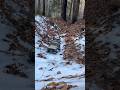 Trx4 doing really well #crawler #offroad #rc #traxxas #offroading #rccrawler #viral