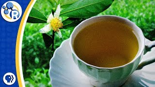 White, Green, Black, and Oolong Tea: What's the Difference?