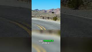 The incredible Arizona Sidewinder 8 miles 191 curves on the way to OAtman AZ