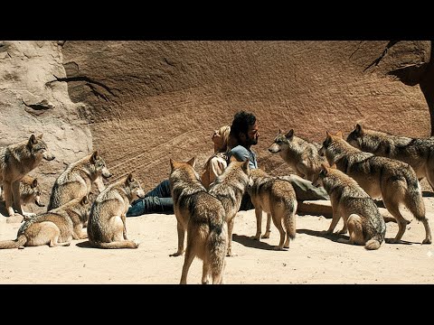 عرسان جدادا بيطلعوا رحلة رومانسية لكنهم بيتوهوا وبتتحول لكابوس مرعب في وادي الموت تلخيصة FILM 