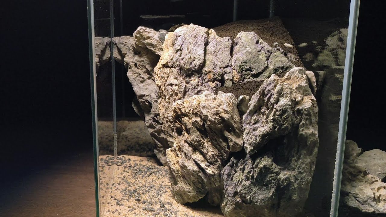 Creating and building Shrimp mountain hardscape w/ no co2. A luxurious blue diamond Shrimp aquarium.