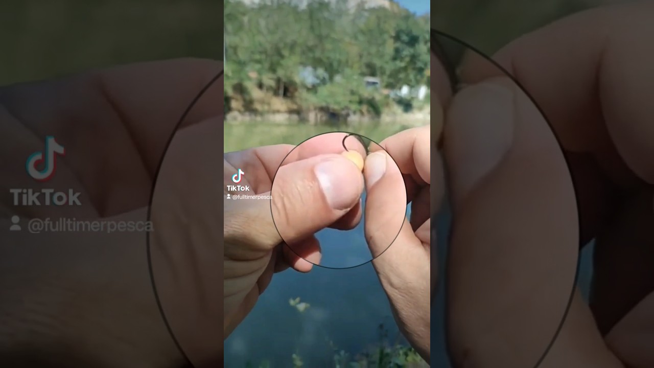 Tutorial Innesco perfetto per insidiare La carpa 