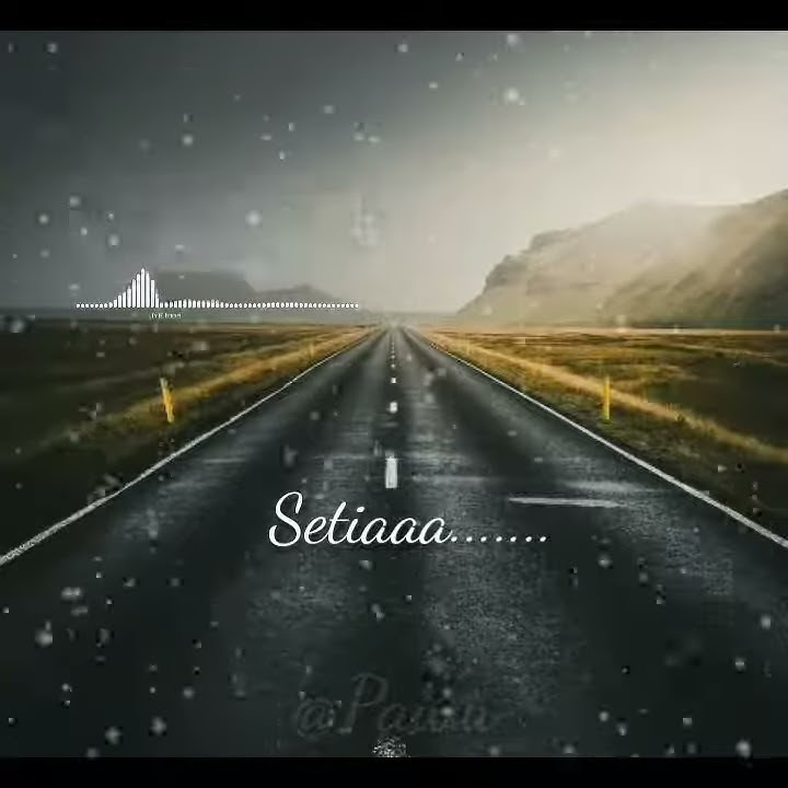 Video story lirik_mawar putih