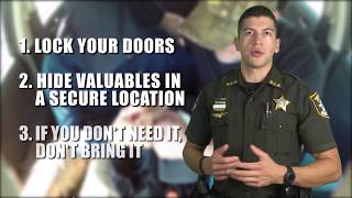 Vehicle Burglary PSA