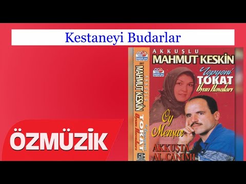 Kestaneyi Budarlar - Mahmut Keskin (Official Video)