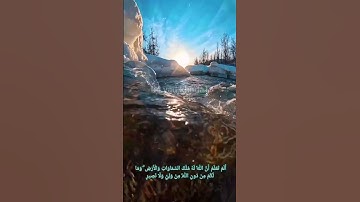 #سورة_البقرة #آیه صد و هفتم #سورة #بقرة #آیات #قرآن_كريم #آیات_قرآن #قرائت #قرآن #تلاوت #قرأن