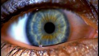 Moby - Porcelain (Jonas Åkerlund-directed version)