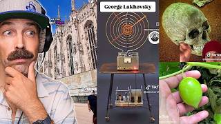 Strange TikToks That Don’t Add Up | Ep. 145 Strange TikToks That Don’t Add Up | Ep. 145