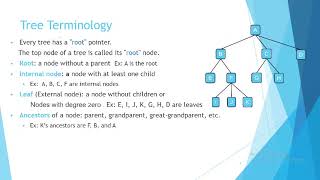 Eng Eman Salem LEC 10 Tree data stracture