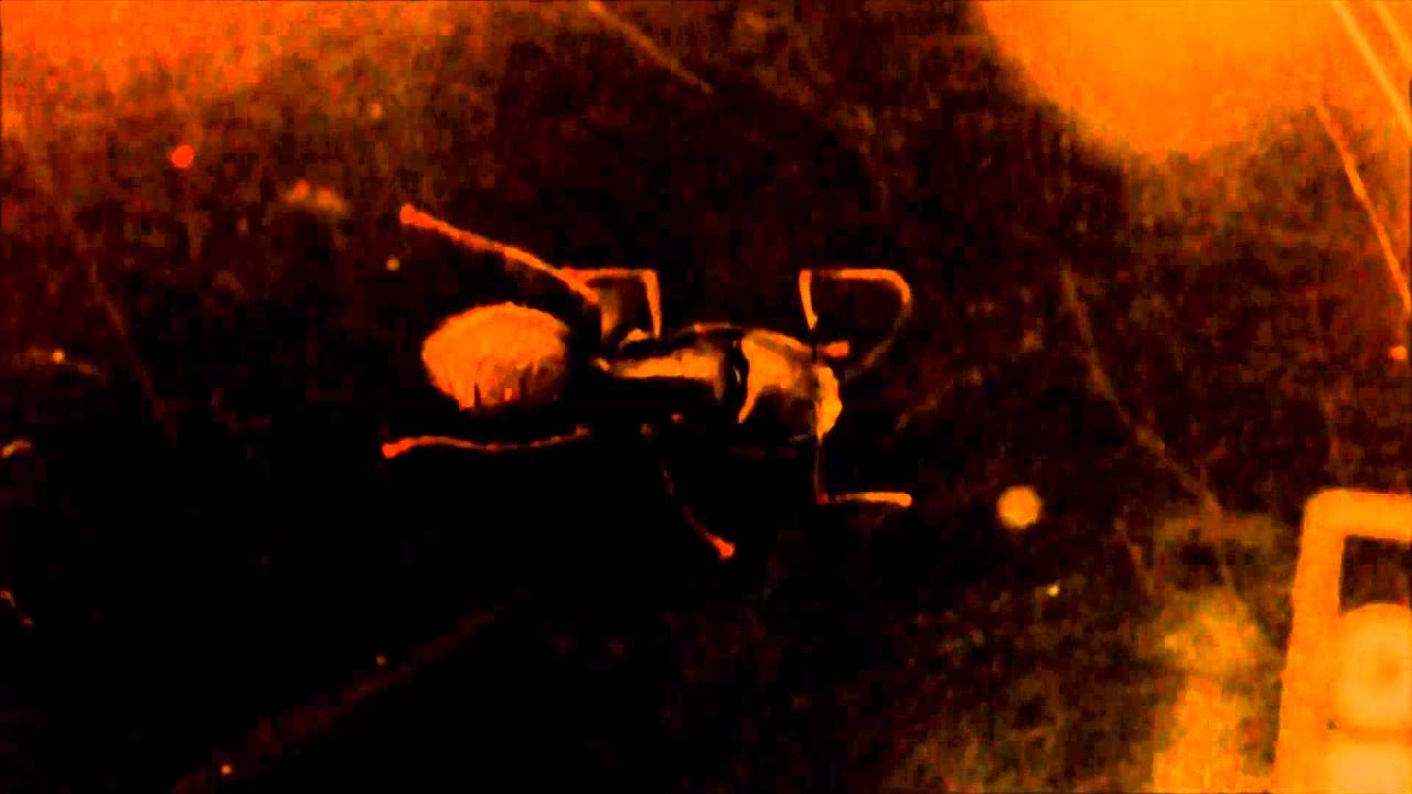 camera iphone 8 plus apk C. pennsylvanicus walking dead.