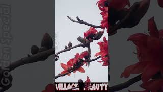 Lovely Squirrel #nature  #cuteanimals #squirrel