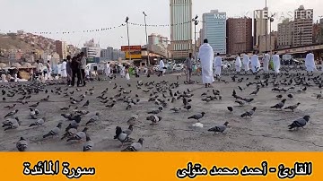 تلاوة مسجلة من صلاة الفجر- بصوت القارئ أحمدمحمدمتولى