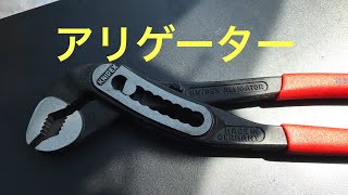 クニペックス  アリゲーター購入