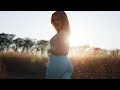 Wonder Forest - Shot on BMPCC 6K PRO | Sigma ART 18-35mm F1.8 | Blackmagic Pocket Cinema Camera