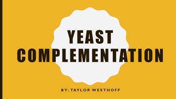 Yeast complementation lab video