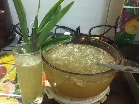 Video Nước rau câu chân vịt - youtube