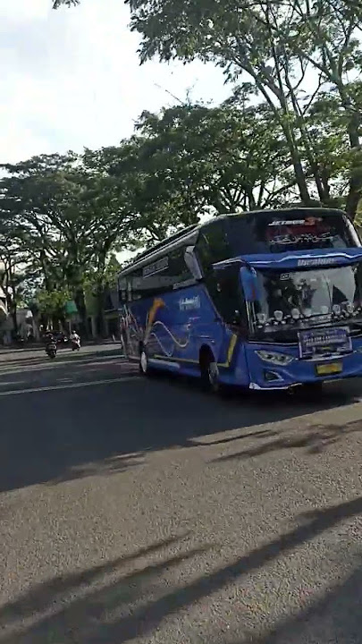 Giliran ga dicari eh ada telolet #telolet #teloletbus #bus #buspariwisata #bnr #bogor #bogorkota