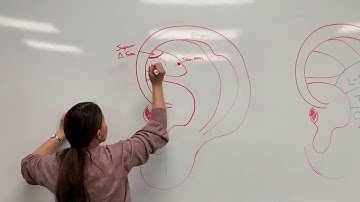 Class 2 Whiteboard Representations