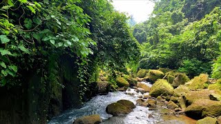 Don’t Skip This River Sound If You Want Real Deep Relaxation Tonight