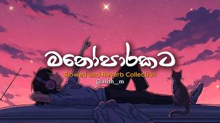 Download lagu නිදහසේ තනියම අහන්න🤍🥺( manoparakata sindu ) slow & reverb | Sinhala Mood Songs collection 2026