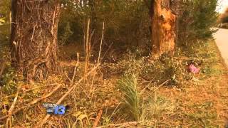 Crash Victims Remembered