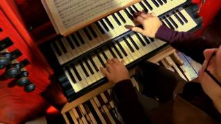 Johann Seb. Bach  Wachet auf  [BWV645]   Sleepers Awake  Willem van Twillert  MEERE-organ  Epe [NL] chords