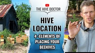 Where to put your Beehives//The 4 Elements of Locating your Apiary//Establish the Best Spot for bees screenshot 3