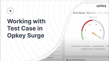 Working with Test Case in Opkey Surge