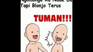 TUMAN -Lagi Viral !!!!!