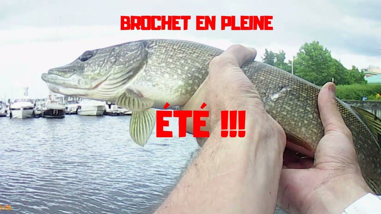 5 PÊCHE du BROCHET au LEURRE a QUEBEC par TEMPS très CHAUD !! Les