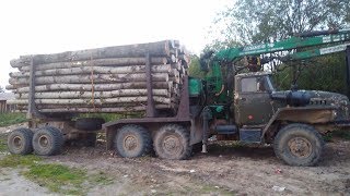 Урал лесовоз Поездка за дровами