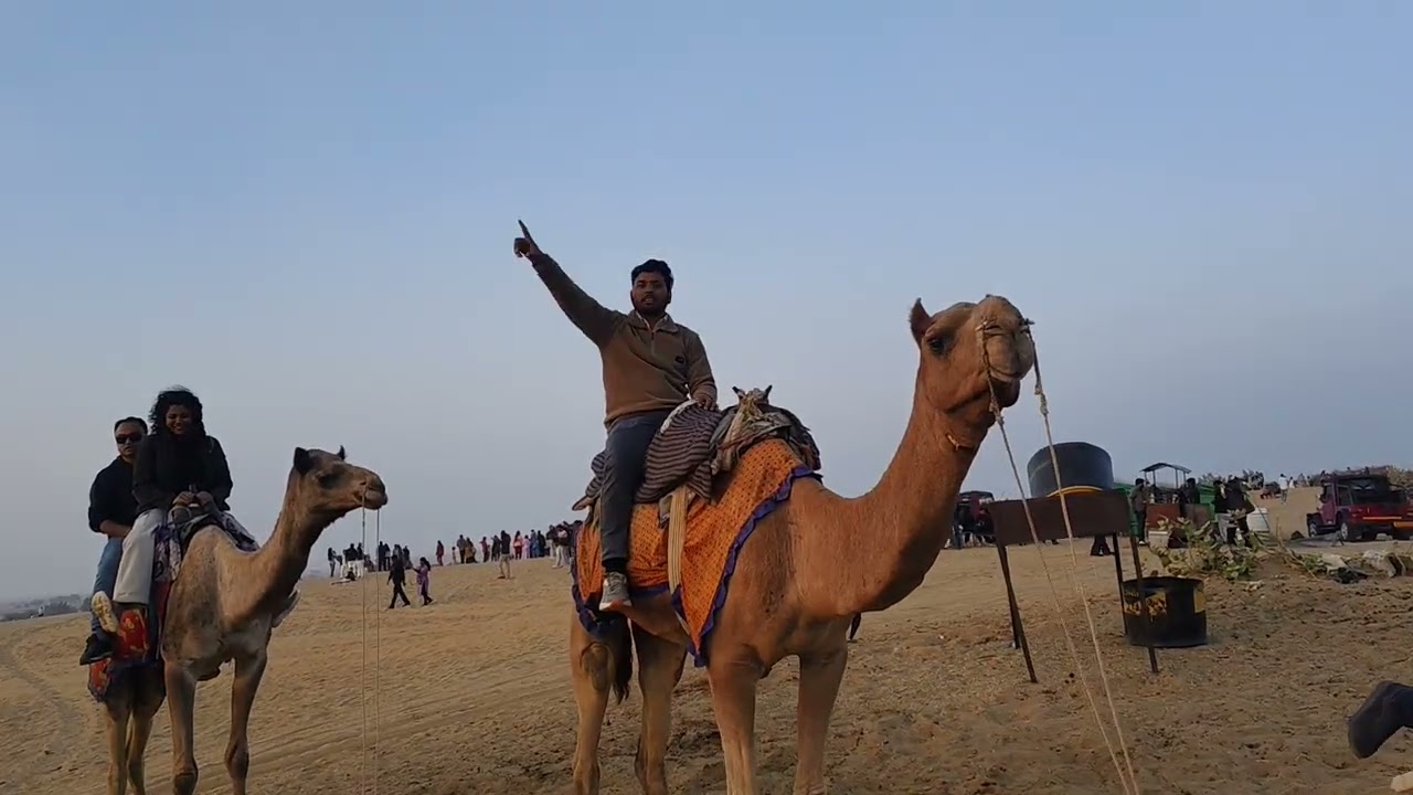 थार मरूस्थल जैसलमेर राजस्थान। रेगिस्तान का जहाज ऊँट। 