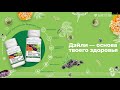 Nutrilite™ Дэйли – основа твоего здоровья!