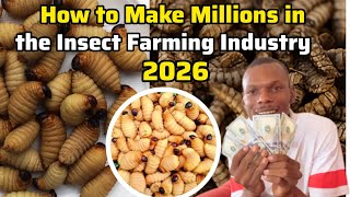 The Larvae Fortune: Unlocking the Potential of Palm Weevil & Black Soldier Farming 