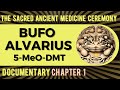 Capture de la vidéo Bufo Alvarius & 5-Meo-Dmt, Chapter1- Otac & The Ancient Sacred Medicine Ceremony By Leonardo Bondani