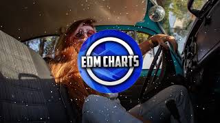 Rachel Shaps - Learn My Lesson (Viibrnt Remix)