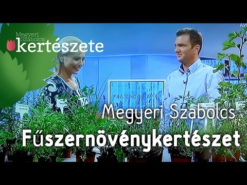 Videó: Örökzöld Gyógynövénykert – Az örökzöld fűszernövények fajtái a kertben