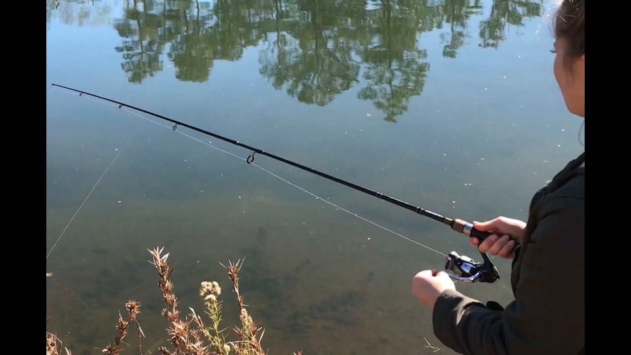 Bream Fishing YouTube