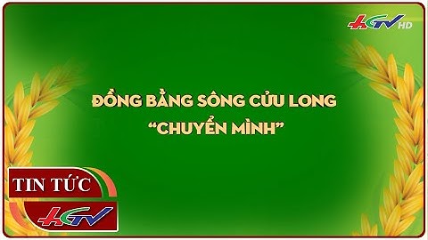 Đồng bằng sông Cửu Long “chuyển mình” | Truyền hình Hậu Giang