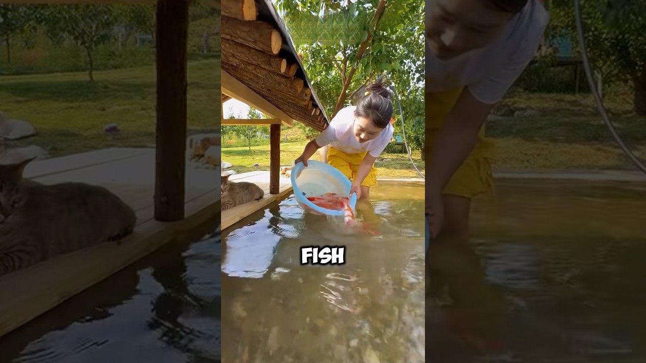 Dirty Ditch Was Making Her Cats Sick — So She Built This! 