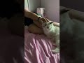 I think Clementine likes my boyfriend