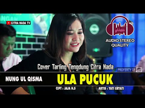 ULA PUCUK ~ NUNG UL QISMA || COVER TARLING TENGDUNG CITRA NADA